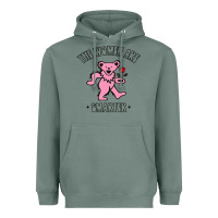 Sage The Women Are Dancing Bear Smarter Heavyweight Hoodie - longCreatives