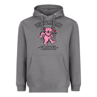 Storm The Women Are Dancing Bear Smarter Heavyweight Hoodie - longCreatives