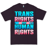 Plum Trans rights are human rights Premium Tee - NancyCooperArtShop