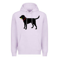 Lilac Labrador Retriever Fetch, Black Lab Play Ball Premium Hoodie - longCreatives