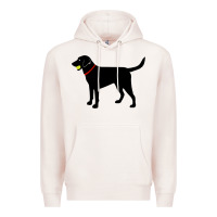 Labrador Retriever Fetch, Black Lab Play Ball Premium Hoodie | Teevron