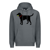Rock Labrador Retriever Fetch, Black Lab Play Ball Premium Hoodie - longCreatives