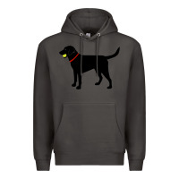 Smoke Labrador Retriever Fetch, Black Lab Play Ball Premium Hoodie - longCreatives