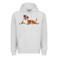 Dove Grey Boxer Dog Illustrations Premium Hoodie - LillyAllenDesigns