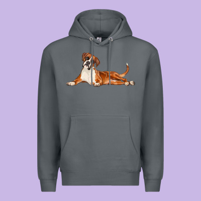 Boxer Dog Illustrations Premium Hoodie Designed By Lillyallendesigns