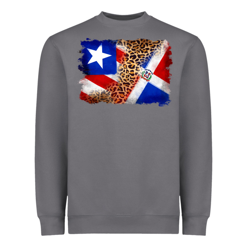 Puerto Rico And Dominican Republic Flag Heavyweight Sweatshirt by Artiststas | Teevron