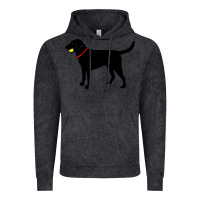 Vintage Black Labrador Retriever Fetch, Black Lab Play Ball Vintage Hoodie - longCreatives
