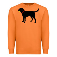 Labrador Retriever Fetch, Black Lab Play Ball Premium Sweatshirt | Teevron