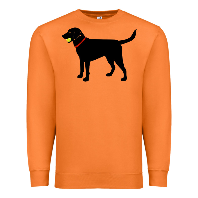 Labrador Retriever Fetch, Black Lab Play Ball Premium Sweatshirt by longCreatives | Teevron