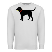 Dove Grey Labrador Retriever Fetch, Black Lab Play Ball Premium Sweatshirt - longCreatives