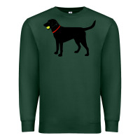 Sports Green Labrador Retriever Fetch, Black Lab Play Ball Premium Sweatshirt - longCreatives