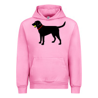 Fuchsia Pink Labrador Retriever Fetch, Black Lab Play Ball Urban Hoodie - longCreatives