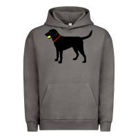 Pigment Tornado Labrador Retriever Fetch, Black Lab Play Ball Urban Hoodie - longCreatives