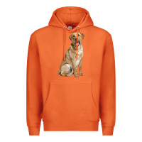 Carrot Labrador Retriever llustrations Premium Hoodie - LillyAllenDesigns