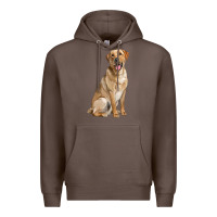 Coffee Labrador Retriever llustrations Premium Hoodie - LillyAllenDesigns
