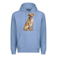 Colony Blue Labrador Retriever llustrations Premium Hoodie - LillyAllenDesigns