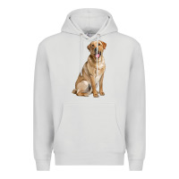 Dove Grey Labrador Retriever llustrations Premium Hoodie - LillyAllenDesigns