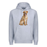 Heather Grey Labrador Retriever llustrations Premium Hoodie - LillyAllenDesigns