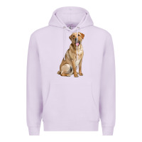 Lilac Labrador Retriever llustrations Premium Hoodie - LillyAllenDesigns