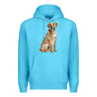 Ocean Blue Labrador Retriever llustrations Premium Hoodie - LillyAllenDesigns