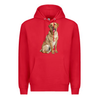 Red Labrador Retriever llustrations Premium Hoodie - LillyAllenDesigns