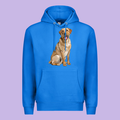 Labrador Retriever Llustrations Premium Hoodie Designed By Lillyallendesigns