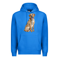 True Royal Labrador Retriever llustrations Premium Hoodie - LillyAllenDesigns