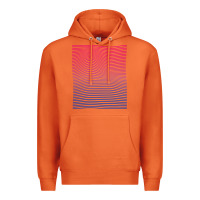 Carrot Bisexual Pride Subtle Bi Premium Hoodie - longCreatives