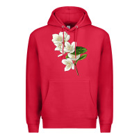 Cardinal Mock Oranges Illustrations Premium Hoodie - LillyAllenDesigns