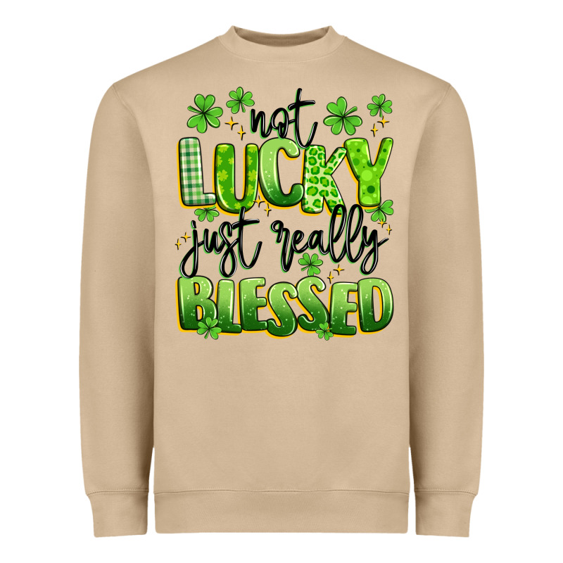 Not Lucky Just Really Blessed Heavyweight Sweatshirt by Artiststas | Teevron