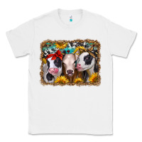 White western sunflower heifers Classic Tee - Jasminsmagicworld