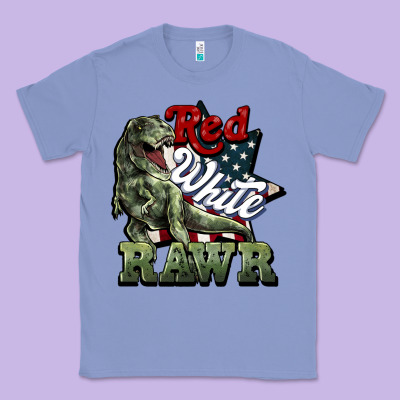 Red White Rawr 4th Of July Classic Tee Designed By Howdyjamesfarm