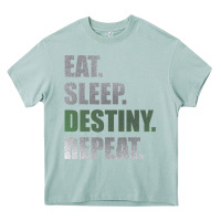 Arona Destiny  Eat Sleep Destiny Repeat Short Sleeve Heavy Core Tee - longCreatives