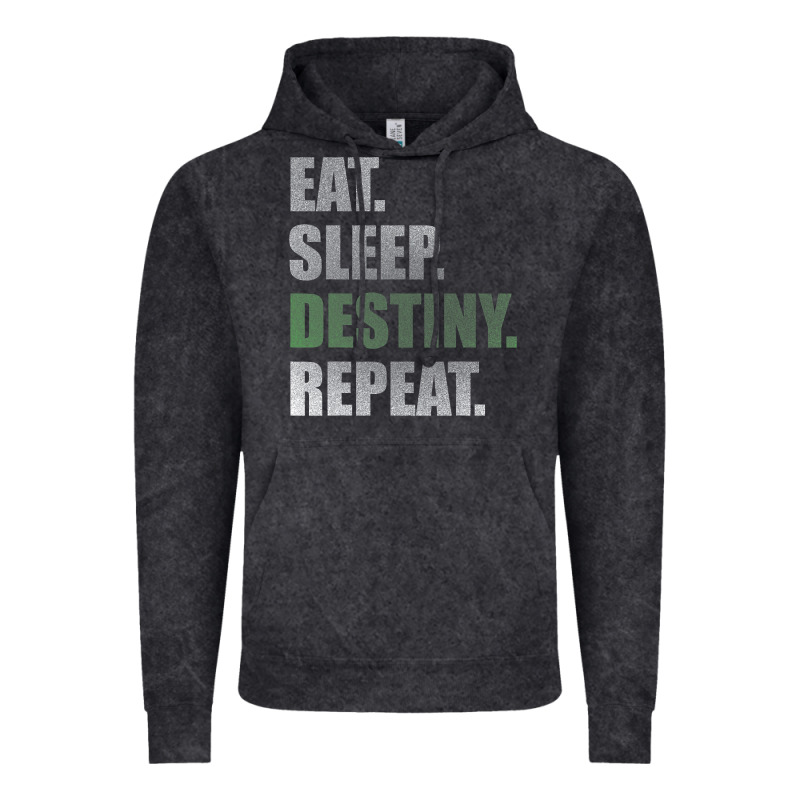 Destiny  Eat Sleep Destiny Repeat Short Sleeve Vintage Hoodie by longCreatives | Teevron