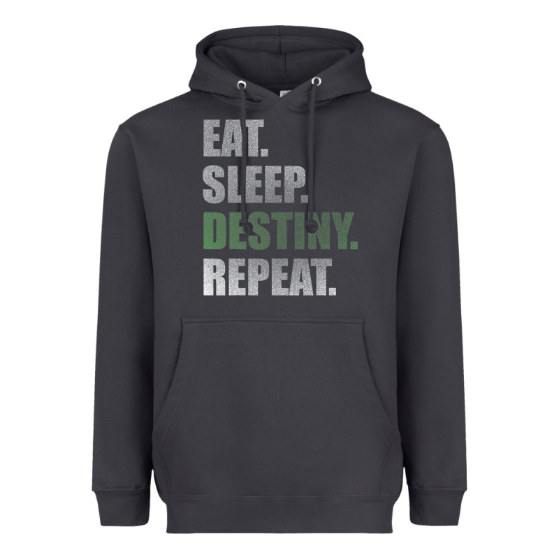 Destiny  Eat Sleep Destiny Repeat Short Sleeve Heavyweight Hoodie by longCreatives | Teevron