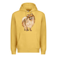 Antique Gold Pomeranian Dog Illustrations Premium Hoodie - LillyAllenDesigns