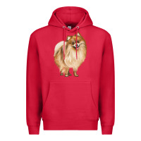 Cardinal Pomeranian Dog Illustrations Premium Hoodie - LillyAllenDesigns