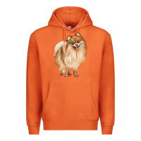 Carrot Pomeranian Dog Illustrations Premium Hoodie - LillyAllenDesigns