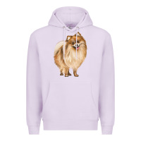Lilac Pomeranian Dog Illustrations Premium Hoodie - LillyAllenDesigns