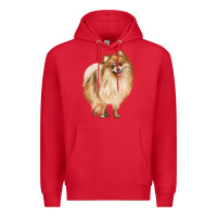Red Pomeranian Dog Illustrations Premium Hoodie - LillyAllenDesigns
