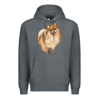 Rock Pomeranian Dog Illustrations Premium Hoodie - LillyAllenDesigns