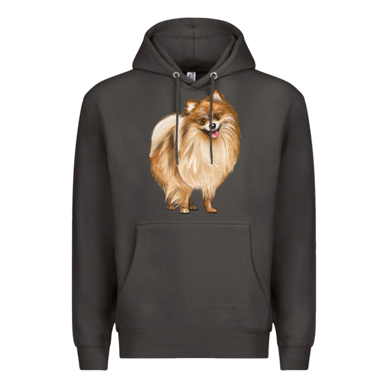 Pomeranian Dog Illustrations Premium Hoodie by LillyAllenDesigns | Teevron