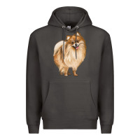 Smoke Pomeranian Dog Illustrations Premium Hoodie - LillyAllenDesigns