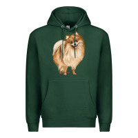 Sports Green Pomeranian Dog Illustrations Premium Hoodie - LillyAllenDesigns