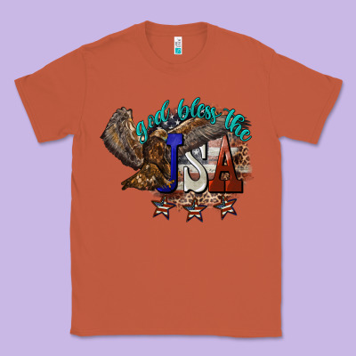 God Bless The Usa Eagle 4th Of July Classic Tee Designed By Howdyjamesfarm