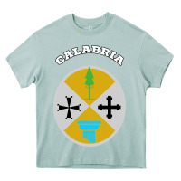 Arona Calabria Coat of arms  Flag souvenir Italy Heavy Core Tee - longCreatives