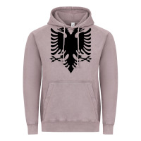 Vintage Zinc Albanian Flag Eagle Double Red Albania Shqipe Kosovo Vintage Hoodie - longCreatives
