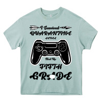 Arona I Survived Quarantine Level Next Fifth Grade Heavy Core Tee - Bettercallsaul