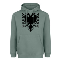 Sage Albanian Flag Eagle Double Red Albania Shqipe Kosovo Heavyweight Hoodie - longCreatives