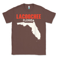 Chestnut lacoochee florida usa state america travel floridian t shirt Classic Tee - longCreatives